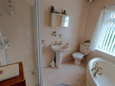 Picture 15